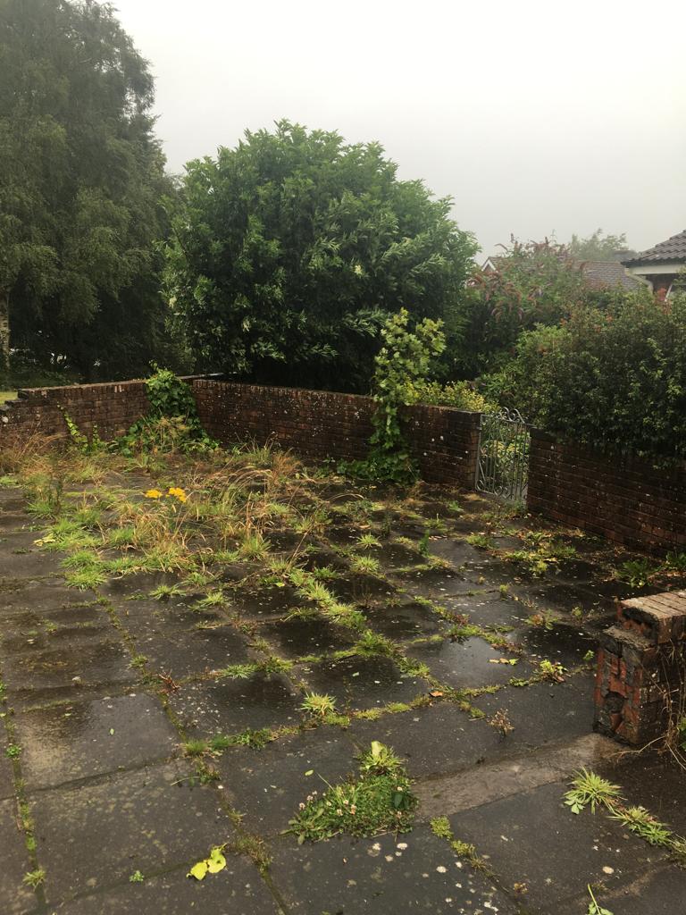 Weeds before in the Crescent